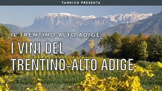 I vini del TrentinoAlto Adige  Tannico Flying School [upl. by Nolyaj]