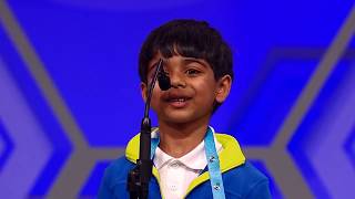 Best of the Scripps National Spelling Bee [upl. by Ellicec]