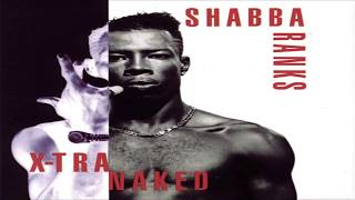 Ting a ling Dancehall♣Remix  Shabba Ranks [upl. by Karen577]