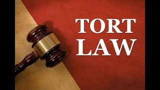 What is a tort Explained with examples in Hindi [upl. by Josiah]