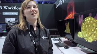 NAB 2017 Eizo ColorEdge PROMINENCE CG3145 HDR 4K monitor [upl. by Godspeed]