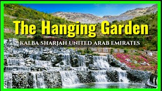 The Hanging Garden  kalba Sharjah  United Arab Emirates [upl. by Annoel]