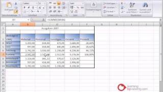 Excel Grundkurs format uebertragen [upl. by Herminia]