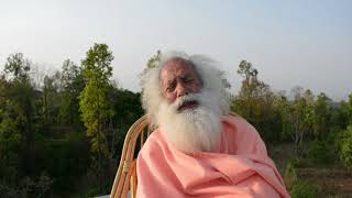 Tridosha Diseases Lecture series for Ayurvedic practitioners by Swami Bhaskarananda Ji Part 1 [upl. by Duester]