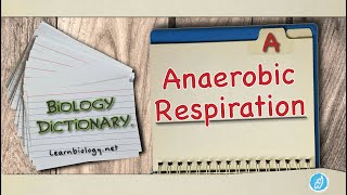 Anaerobic respiration  Biology Dictionary  Spoken Biology Definitions [upl. by Qooraf]