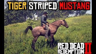 How to get Tiger Striped Mustang as Arthur Angelo Bronte mission glitch  RDR 2 [upl. by Neenad]