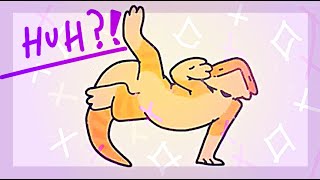 Bearded Dragon Breakdancing [upl. by Nahguav]