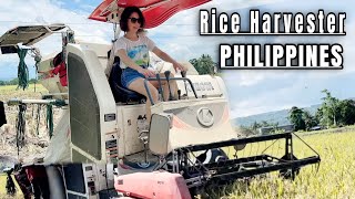 HARVESTING RICE  SELLING [upl. by Aihsiym]