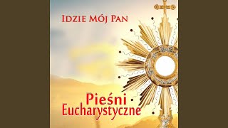 Dzis Przychodzisz Do Mnie Jezu [upl. by Inafets]