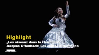 Jacques Offenbach LES CONTES D’HOFFMANN quotLes oiseaux dans la charmillequot Highlights [upl. by Annawot]