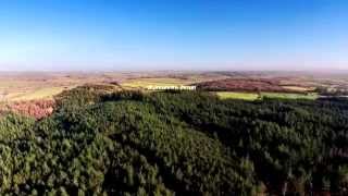 Puddletown Forest Dorset [upl. by Boy]