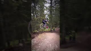 What are the bikes in this video CREW IN LEOGANG bike mtb downhillmtb downhill [upl. by Omoj]