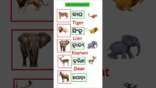 Names of Animals in English amp Odia  odiatoenglish animalsname shorts [upl. by Inhoj]