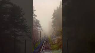 Escape the fog in Switzerland Timelapse BeatenbuchtBeatenberg switzerland swissalps [upl. by Aryt788]