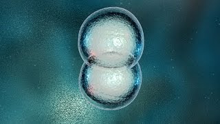 Tracing a cellular family tree [upl. by Ayhdnas]