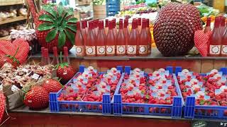 Köstliche Erdbeeren im Bauernmarkt auf dem Erlebnisbauernhof Gertrudenhof [upl. by Letsyrk161]