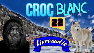 Croc Blanc  Jack London  Chapitre 22  à Lire et écouter [upl. by Arrac]