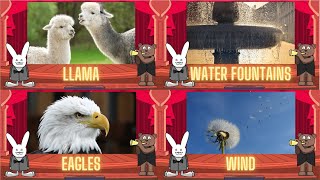 Classical Baby Llama Water Fountains Eagles amp Wind by Oxbridge Baby [upl. by Fidelia291]