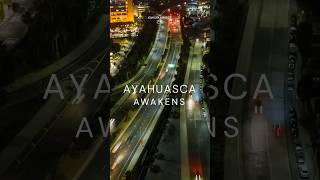 🌿AYAHUASCA awakens you to the power of the universe within you 💫 ayahuascaceremony pachamama [upl. by Gay]