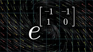 How and why to raise e to the power of a matrix  DE6 [upl. by Kcirdde]