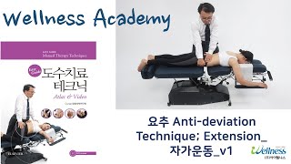 웰니스아카데미 도수치료요추 Anti deviation Technique Extension 자가운동 v1 [upl. by Erdnaek]