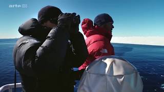 DOCUMENTAIRE  Expédition Antarctica  Sur les traces de lEmpereur HD [upl. by Nivla]