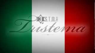 Tristema feat Fuossera  La Penisola Che Non CÈ Official Lyrics Video [upl. by Oloapnaig575]