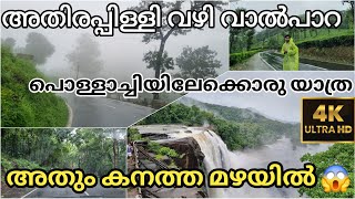 കൊടും വനത്തിലൂടെ ഒറ്റപെട്ടു സഞ്ചരിച്ച ഞങ്ങളുടെ അനുഭവം 😱🐘🐒🐍One day trip പ്ലാൻ ചെയ്യുന്നവർ must watch [upl. by Aloisius]