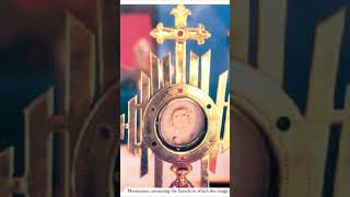 Do you believe Incredible Eucharistic Miracles Chirattakonam India eucharisticmiracles [upl. by Ailey]