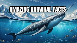 5 Amazing Facts About Narwhals 🐋 [upl. by Irama960]