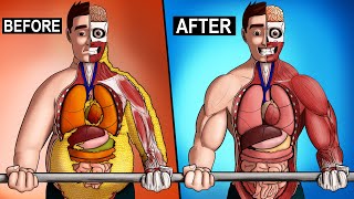 What Happens To Your Body From Exercise [upl. by Ennoitna]