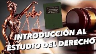 DERECHO SUBJETIVO TEORÍA KELSENIANA  CLASES DE DERECHO [upl. by Dayiz]