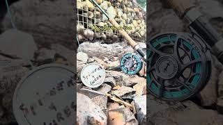 Fishing for Kokanee at the lake 🎏 fishingvideo [upl. by Vez]