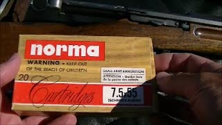 Norma 75x55 Ammo Test [upl. by Fields]