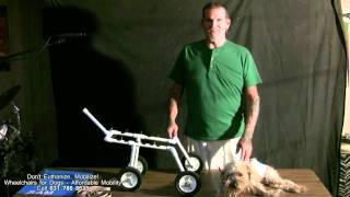 Wheelchairs for Dogs [upl. by Lemra]