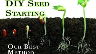 Seed starting 101 DIY indoor method for germinating veggie seeds [upl. by Ber]