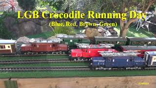 Crocodile Running Day 12062023 yt [upl. by Aihsenal]