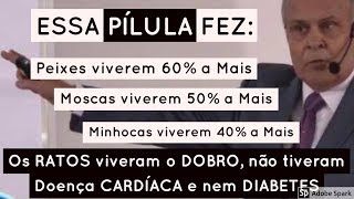 💊 A PÍLULA mágica da saúde  Dr Lair Ribeiro [upl. by Benedict]