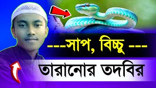 সাপ তারানোর সহজ পদ্ধতি  সাপ তাড়ানোর সহজ উপায়  sap taranor dua  Islamic talents [upl. by Ahset583]