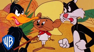 Looney Tunes  Best of Speedy Gonzales  Classic Cartoon Compilation  WB Kids [upl. by Nnawtna]