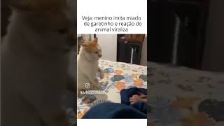 Menino imita miado de gatinho e a reação do animal viraliza [upl. by Lonny]