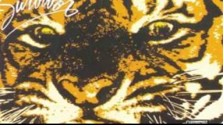 Eye Of The Tiger Song With Lyrics [upl. by Einned]