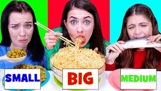 ASMR Big Medium and Small Plate Challenge by LiliBu [upl. by Airdnekal]