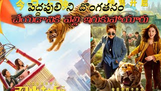 tiger robbers 2021 full movie explained in telugu  vkr world telugu [upl. by Kamaria]