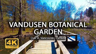 4K VanDusen Botanical Garden  Vancouver Canada  Walking Tour  Island Times [upl. by Sari]