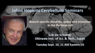 Erik De Schutter Purkinje cell dendritic spikes [upl. by Esor]