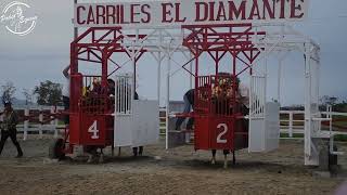 CARRILES EL DIAMANTE CHAJUL CHIAPAS LA TIFANI vs EL ZEUS [upl. by Kermit]