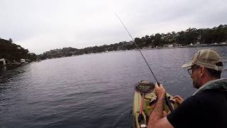 Port Hacking River November 2018  Zipbaits Skinny POP JR wwwfishincomau [upl. by Penrose]