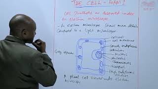 Cell Structures as Observed under Electron Microscope [upl. by Ariec]