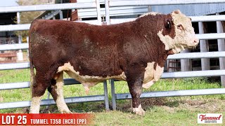 LOT 25 TUMMEL T358 HCR PP [upl. by Ahsiemat]